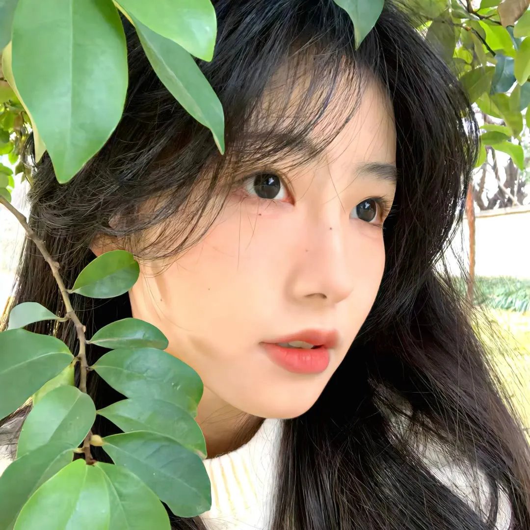月上心辰